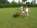 Ome grad  aan de wandel